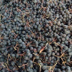 Son Hasat Aronya 1Kg