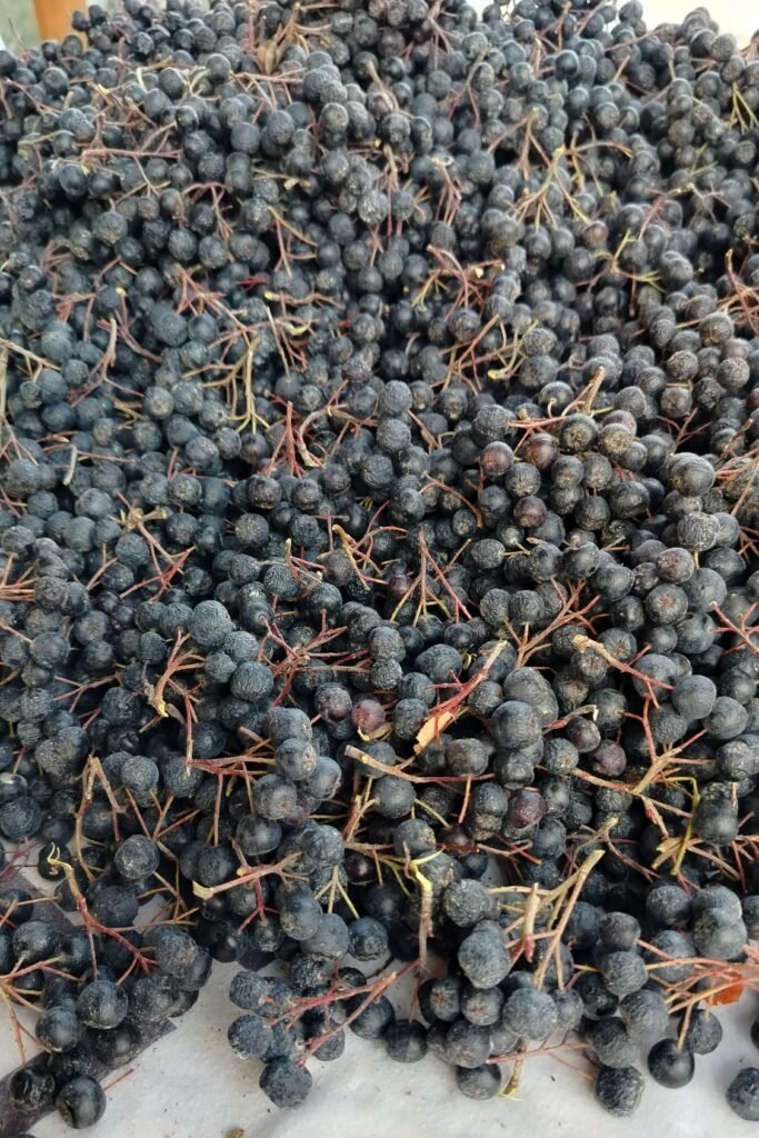 Son Hasat Aronya 1Kg